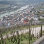 Route des Vins de Moselle