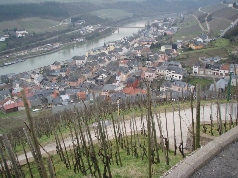 Route des Vins de Moselle