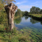 La vallée de la Canche