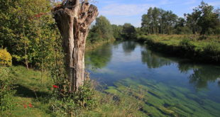 La vallée de la Canche