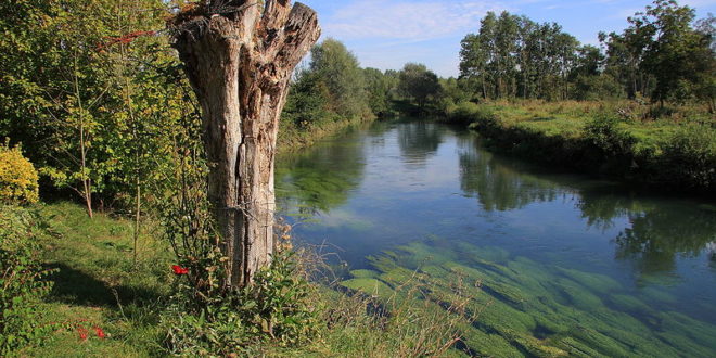 La vallée de la Canche