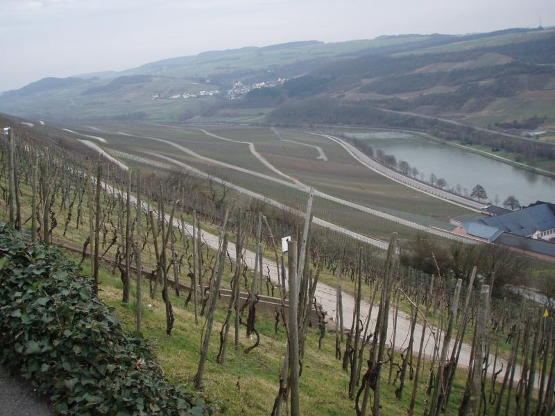 Vallée de la Moselle