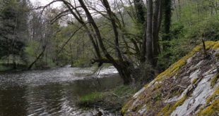 Gorges et châteaux de la Sioule