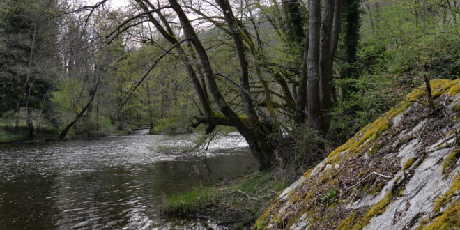 Gorges et châteaux de la Sioule