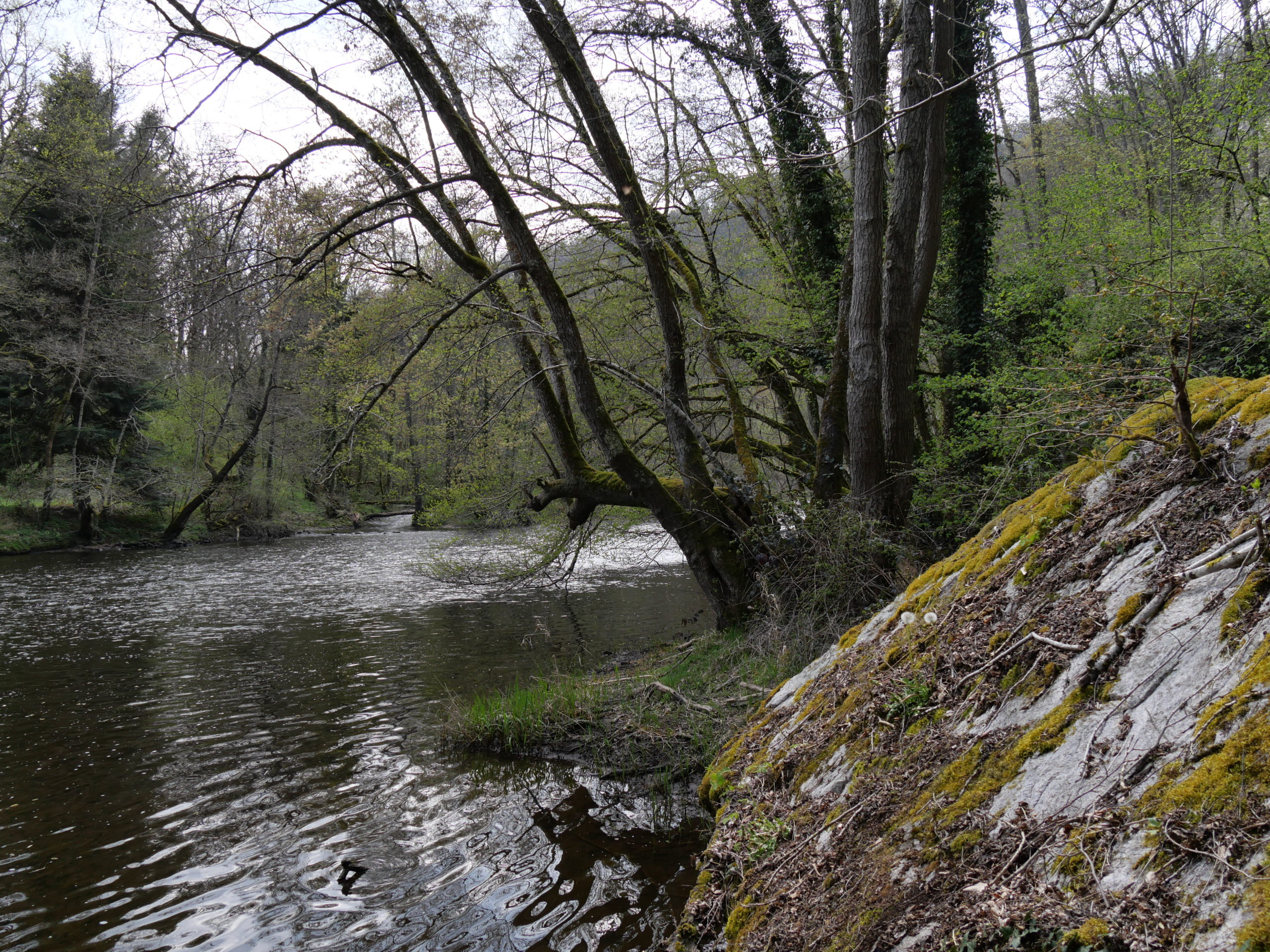 Gorges et châteaux de la Sioule