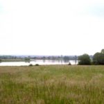 Etang de Lindre au Pays du Sel