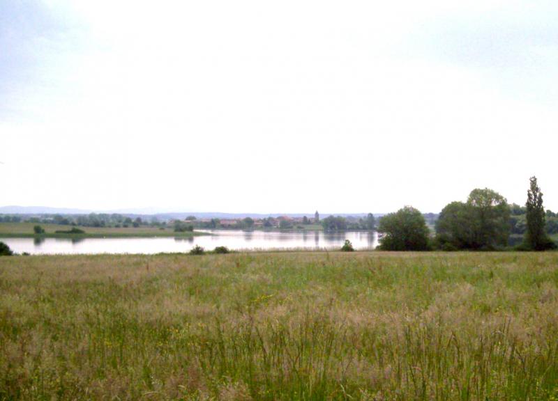 Etang de Lindre au Pays du Sel