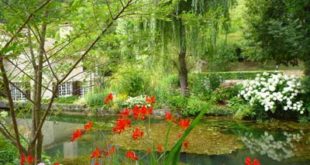 Les Jardins de Mon Moulin