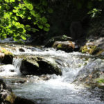 Gorges du Sègre près de Llo