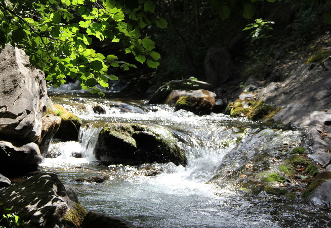 Gorges du Sègre près de Llo