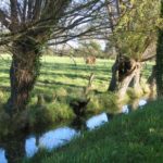 Marais Vernier