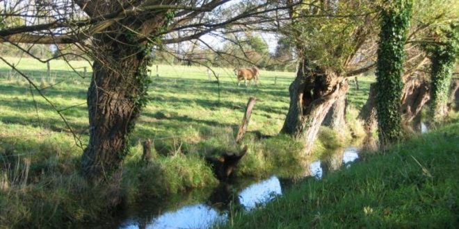 Marais Vernier