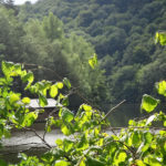 Lac de Nisramont à Nadrin