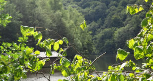 Lac de Nisramont à Nadrin