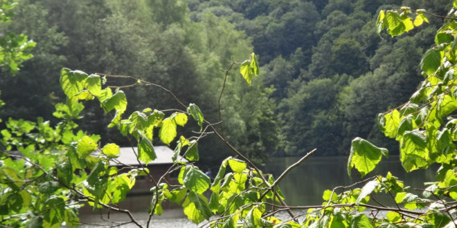 Lac de Nisramont à Nadrin