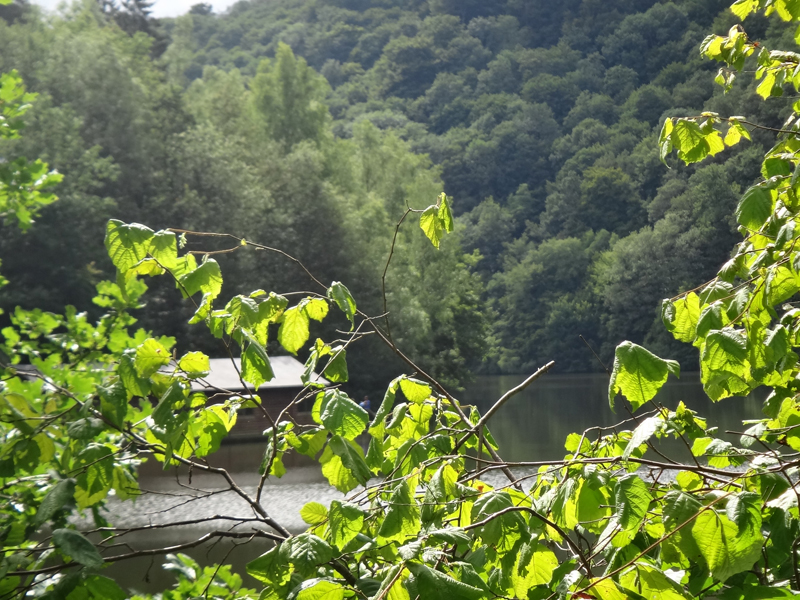 Lac de Nisramont à Nadrin