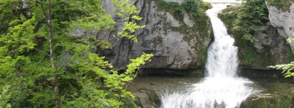 La Route des Sapins