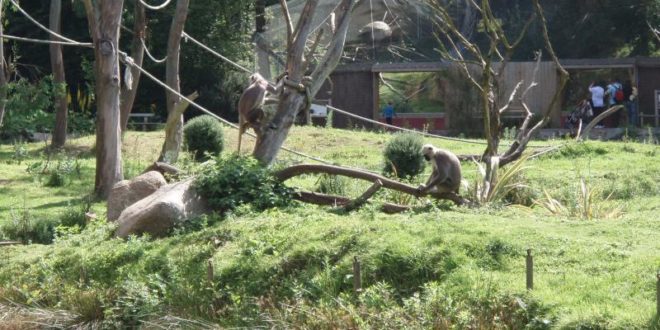 Zoo de tregomeur