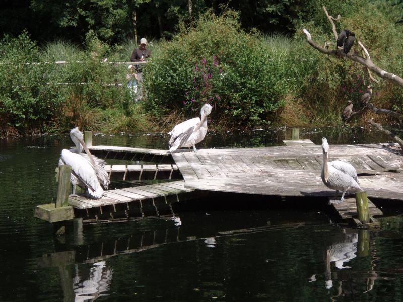 Parc de Tregomeur