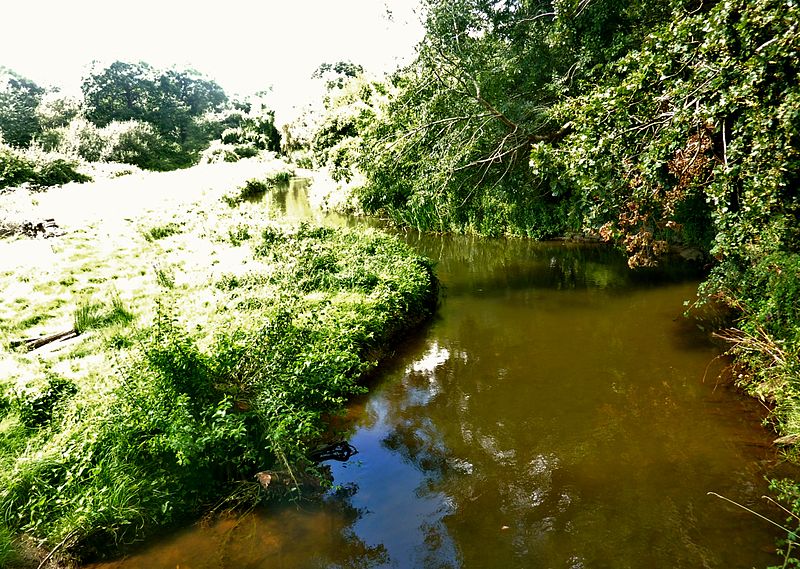 Rivière de Pont-l'Abbé