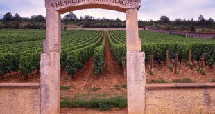 Puligny-Montrachet