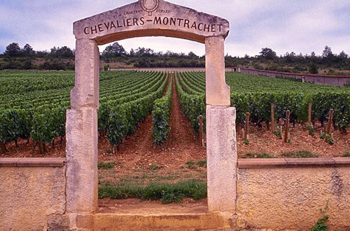 Puligny-Montrachet