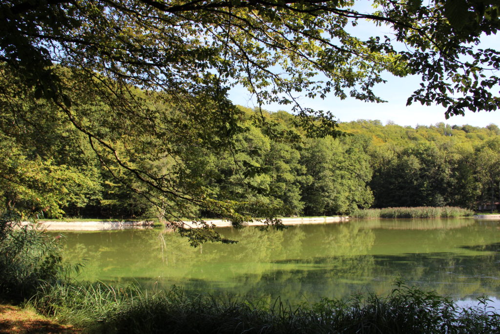 Etang du Moulin à Beaulieu-en-Argonne