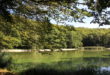 Etang du Moulin à Beaulieu-en-Argonne