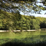 Etang du Moulin à Beaulieu-en-Argonne