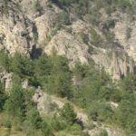 Les Demoiselles Coiffées de Remollon