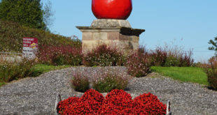 Fougerolles, pays de la cerise