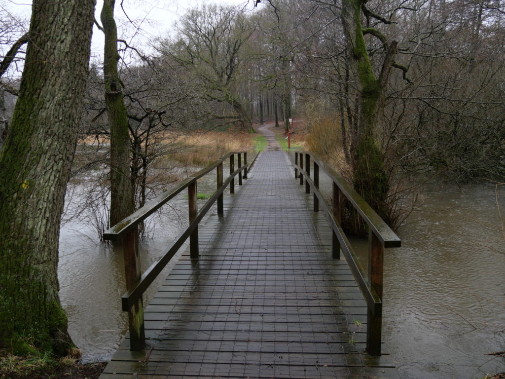 Petit passage au lac de Midtsø