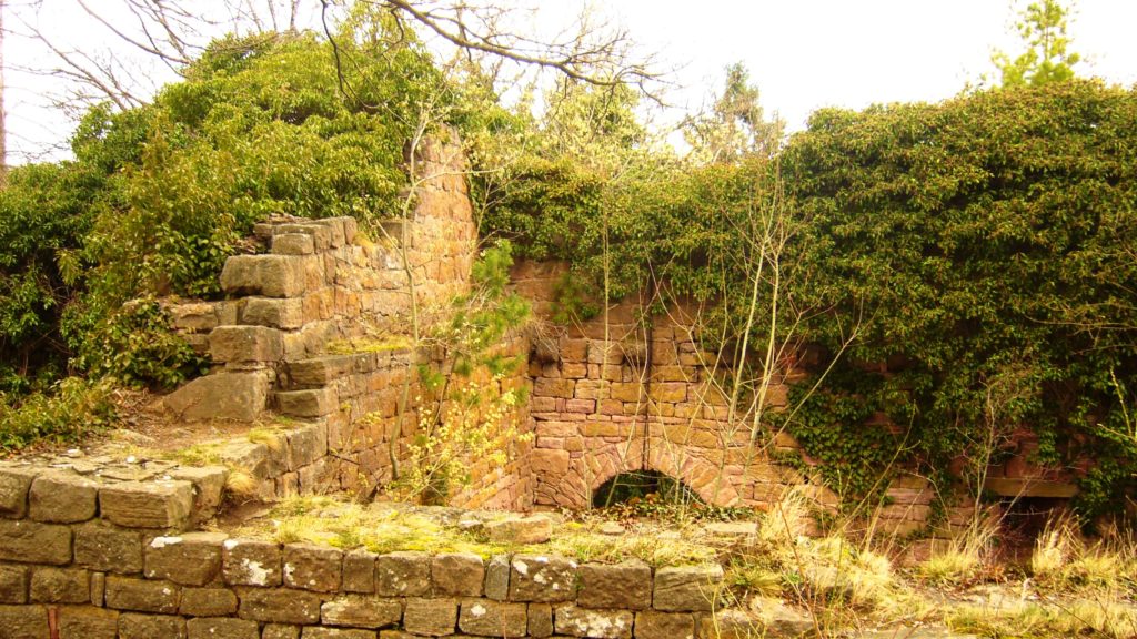 Ruine du château Dagsbourg près de Eguisheim