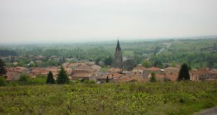 Renaison vu des vignes