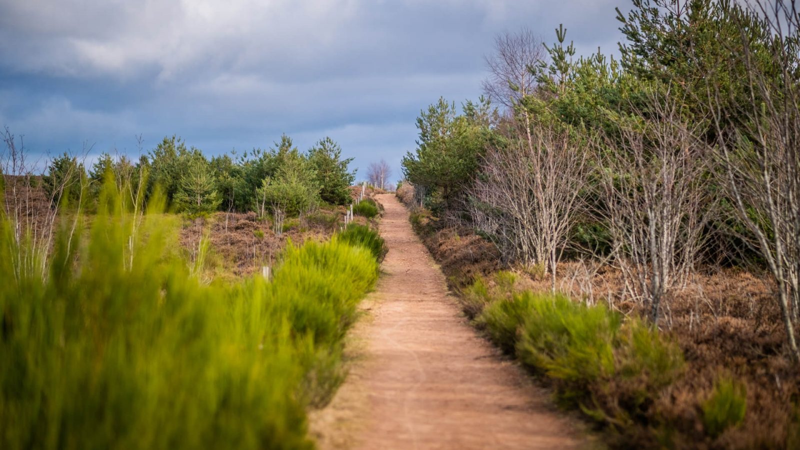 Monts de la Madeleine
