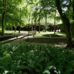 Forêt de Compiègne