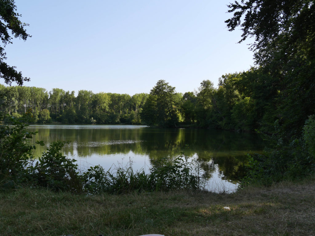 Forêt de Compiègne