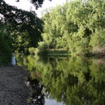 L'orne sur les bords de la Forêt de Grimbosq