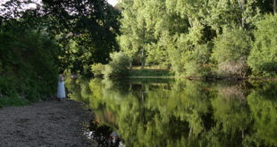 L'orne sur les bords de la Forêt de Grimbosq