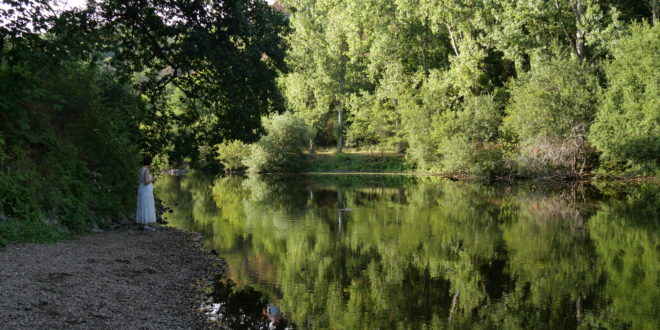 L'orne sur les bords de la Forêt de Grimbosq