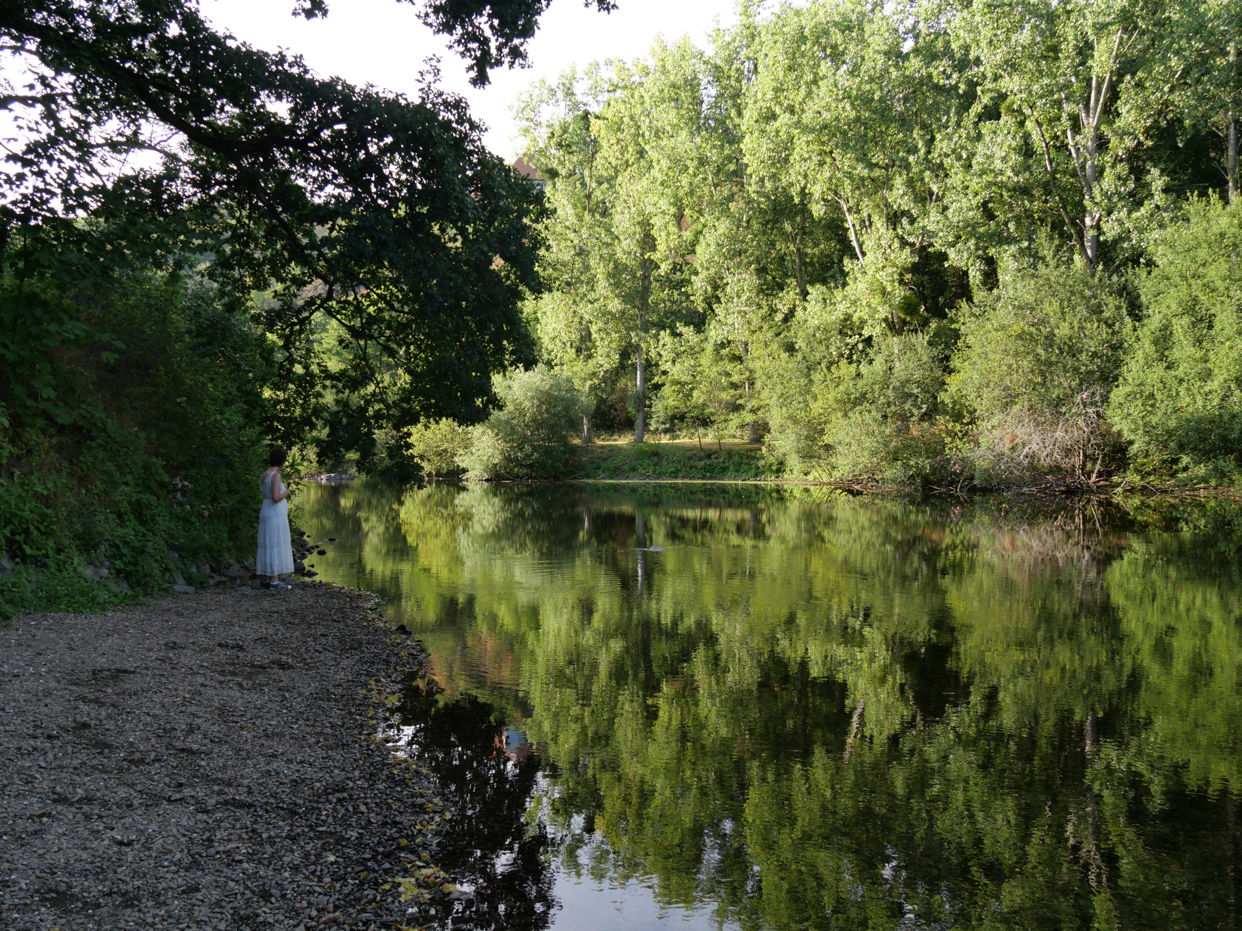 Forêt de Grimbosq en CampingCar Calvados (14)