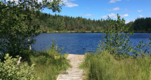 Lac de Lespialade