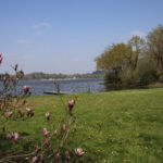 Etang de Ploërmel