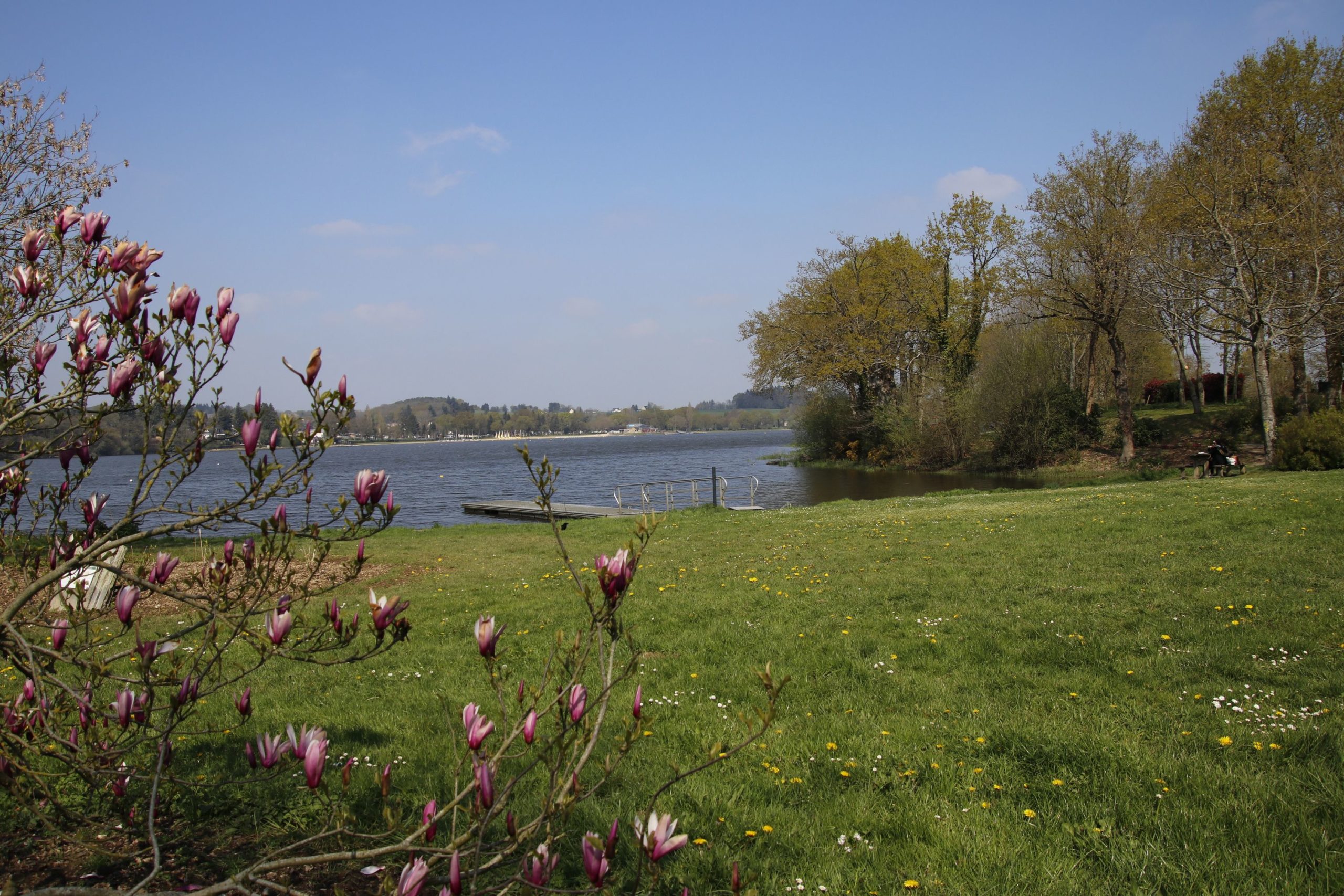 Etang de Ploërmel