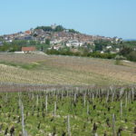 Vignoble de Sancerre