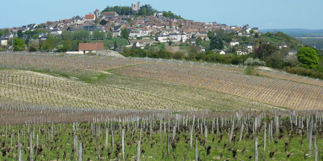 Vignoble de Sancerre