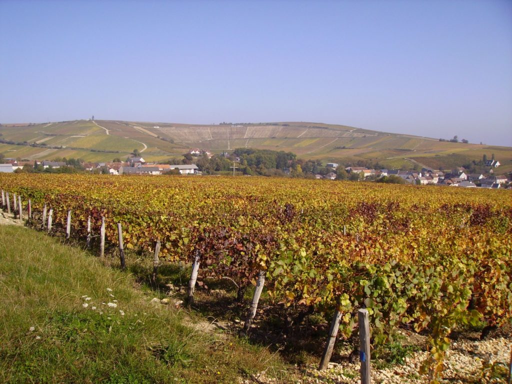 Colline de Sancerre