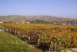 Colline de Sancerre