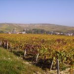 Colline de Sancerre