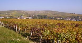 Colline de Sancerre